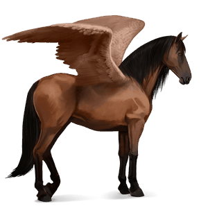 ratsupegasos lipizzanhevonen ruunikko