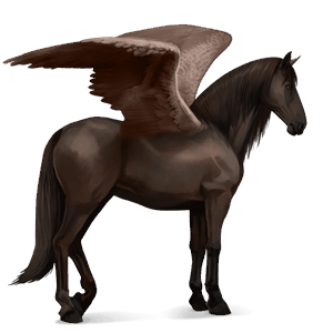 ratsupegasos berberihevonen tummanruunikko