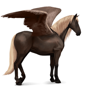 ratsupegasos lipizzanhevonen musta