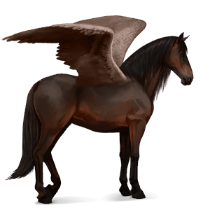 ratsupegasos lipizzanhevonen ruunikko