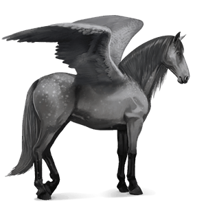 ratsupegasos lipizzanhevonen papurikkotäpläinen kimo