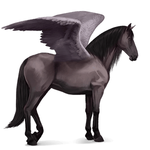 ratsupegasos palomino