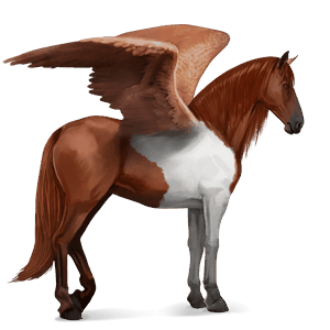 ratsupegasos paint-hevonen tummanruunikko, tobiano