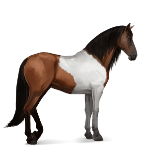 ratsuhevonen andalusianhevonen ruunikko