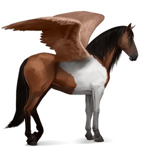 ratsupegasos kwpn, hollanninpuoliverinen rautias