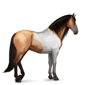 ratsuhevonen andalusianhevonen palomino