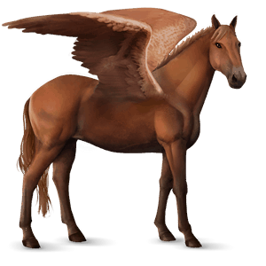 ratsupegasos knabstrupinhevonen rautias
