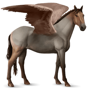ratsupegasos american bashkir curly rautias