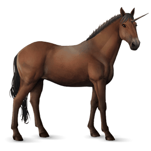 ratsuyksisarvinen american bashkir curly sysirautias