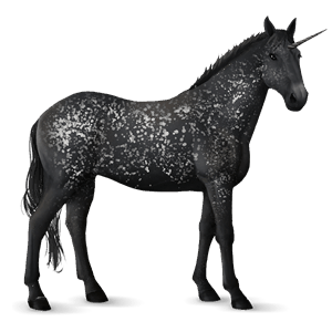 ratsuyksisarvinen appaloosa musta, lumihiutalekuvio