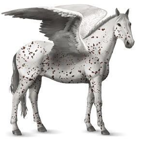 ratsupegasos andalusianhevonen vaaleankimo