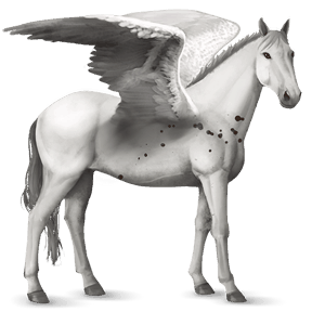 ratsupegasos arabianhevonen vaaleankimo