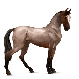 ratsuhevonen irish hunter rautias