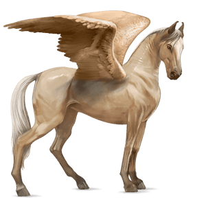 ratsupegasos marwarinhevonen palomino