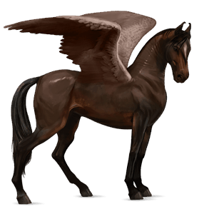 ratsupegasos lipizzanhevonen papurikkotäpläinen kimo