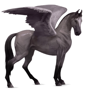 ratsupegasos andalusianhevonen harmaa