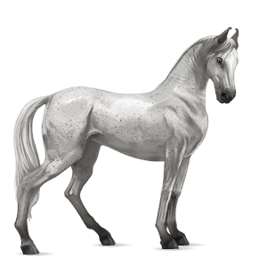 poni punaruunikko