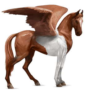 ratsupegasos ruunikko