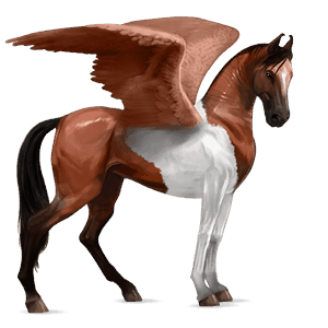 ratsupegasos akhaltekinhevonen rautias