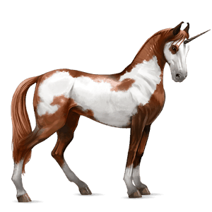 ratsuyksisarvinen appaloosa ruunikko, täplikäs loimikuvio