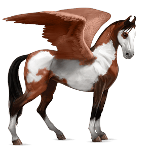 ratsupegasos punaruunikko, overo