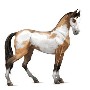 ratsuhevonen palomino