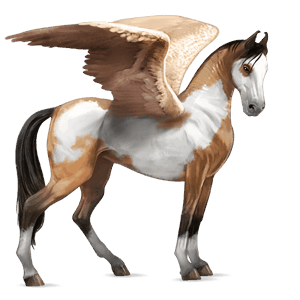 ratsupegasos arabianhevonen punaruunikko