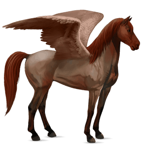 ratsupegasos suomenhevonen ruunikko