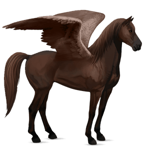 ratsupegasos ranskanravuri sysirautias