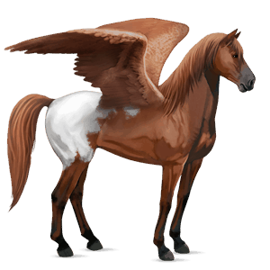 ratsupegasos lipizzanhevonen vaaleankimo