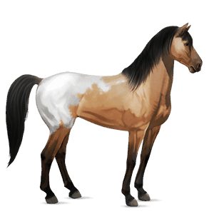 ratsuhevonen mustangi palomino