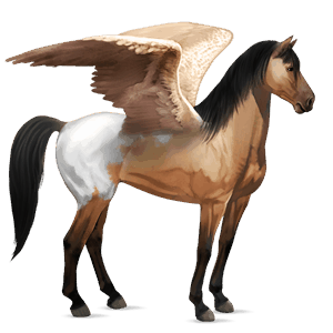 ratsupegasos arabianhevonen vaaleankimo