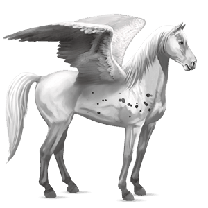 ratsupegasos quarterhevonen rautias