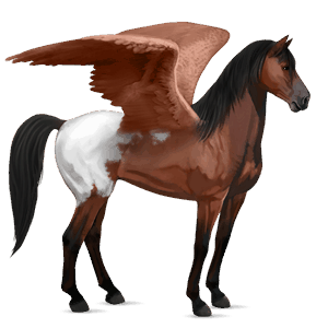 ratsupegasos punaruunikko