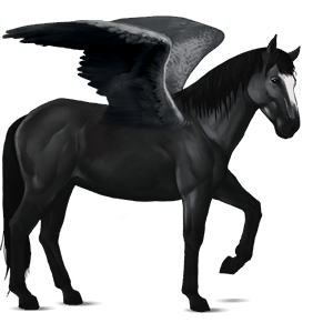 ratsupegasos appaloosa ruunikko, lumihiutalekuvio