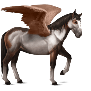 ratsupegasos nokotanhevonen ruunikko, overo