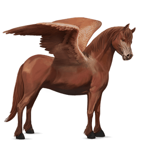 pegasosponi newforestinponi sysirautias