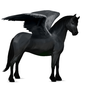 pegasosponi kerryboginponi palomino