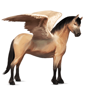 pegasosponi shetlanninponi harmaanruskea