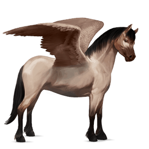 ratsupegasos lipizzanhevonen ruunikko