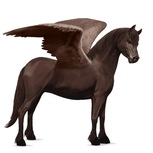 pegasosponi belgian ratsuponi ruunikko