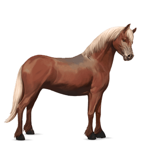 poni welshponi liinakko
