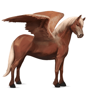 pegasosponi welshponi liinakko
