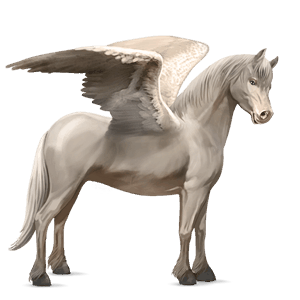 pegasosponi shetlanninponi punaruunikko