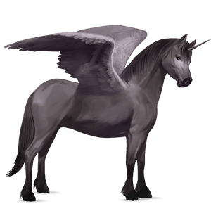 siivekäs yksisarvisponi  welshponi harmaa