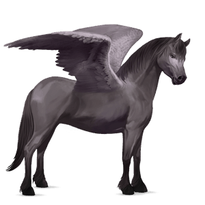 pegasosponi shetlanninponi papurikkotäpläinen kimo