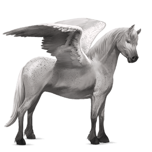 pegasosponi kerryboginponi vaaleankimo