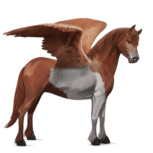 pegasosponi kerryboginponi rautias, tobiano
