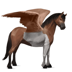 pegasosponi haflingerinhevonen liinakko