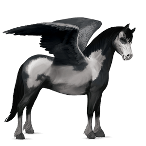 pegasosponi liinakko